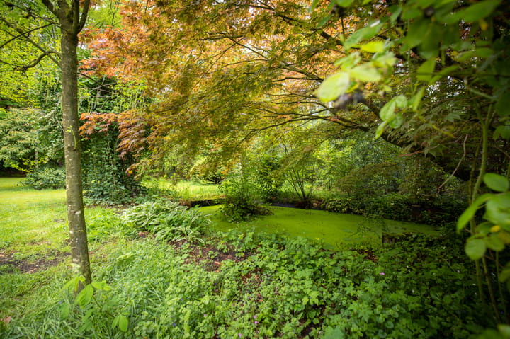 Foto 48 van Ericaweg 39