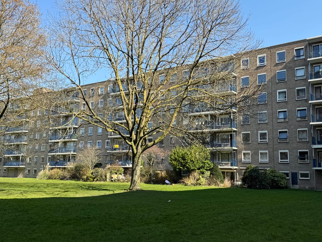 Foto 2 van Aert van Neslaan 513