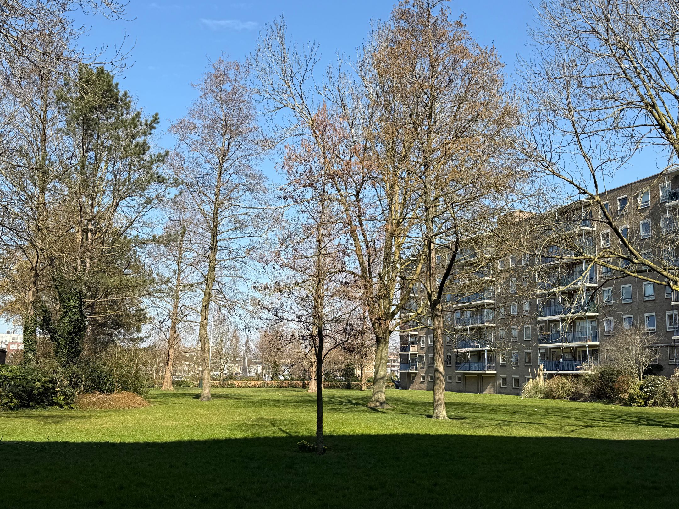 Foto 3 van Aert van Neslaan 513