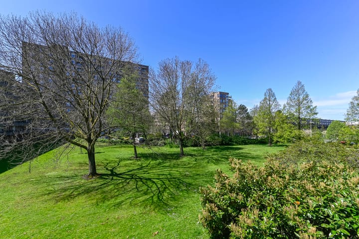 Foto 4 van Aert van Neslaan 513