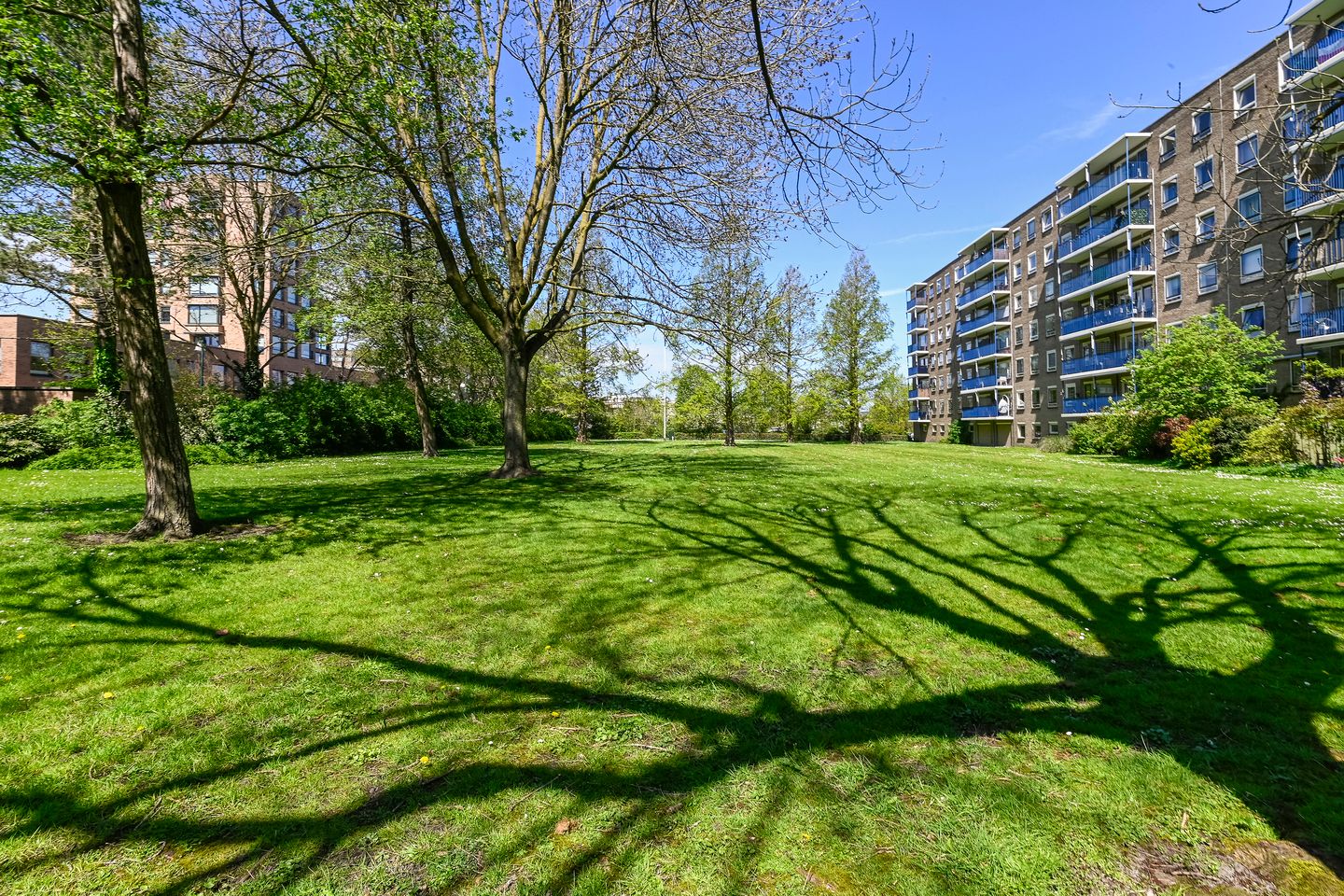 Foto 5 van Aert van Neslaan 513