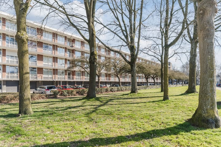 Foto 26 van Predikherenlaan 201