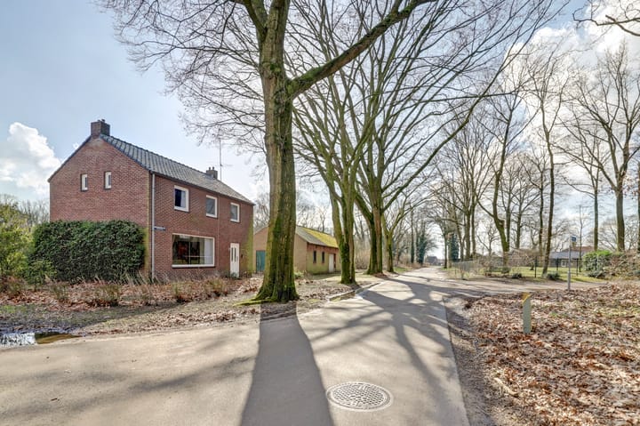 Foto 30 van Brandemolen 48