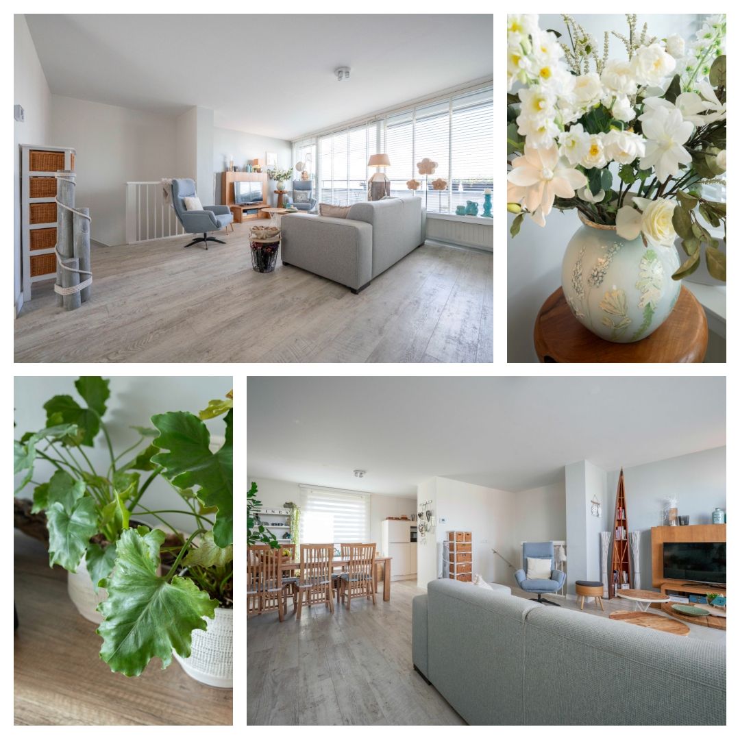 Foto 11 van Laan van Europa 59