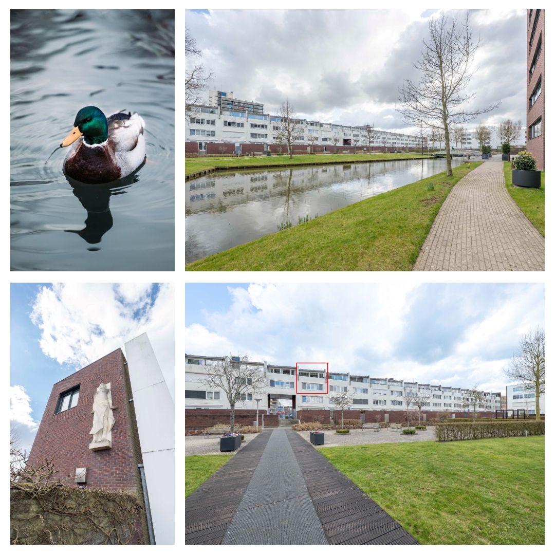 Foto 36 van Laan van Europa 59