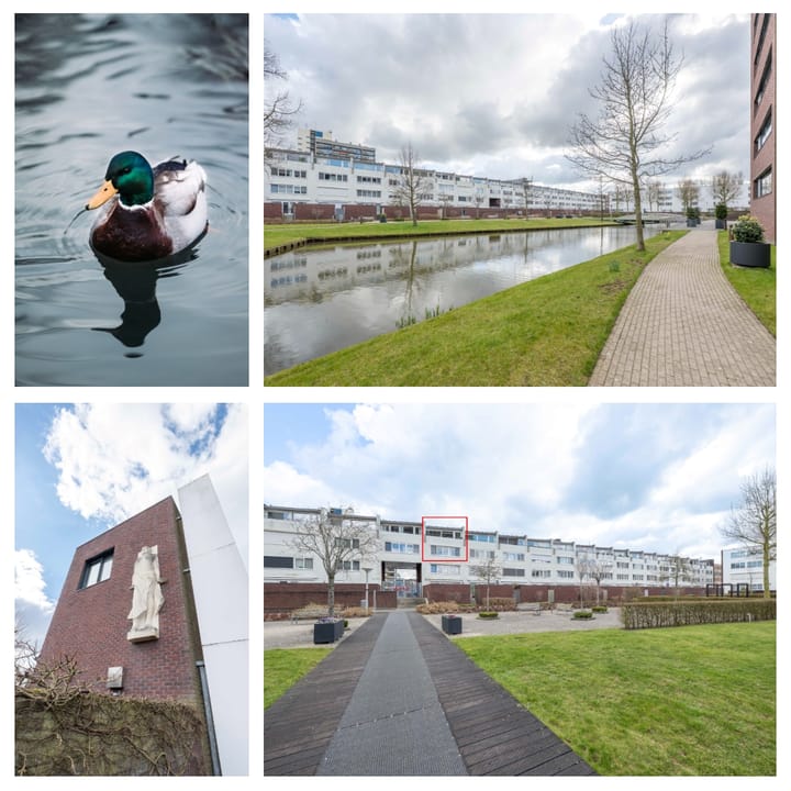 Foto 36 van Laan van Europa 59