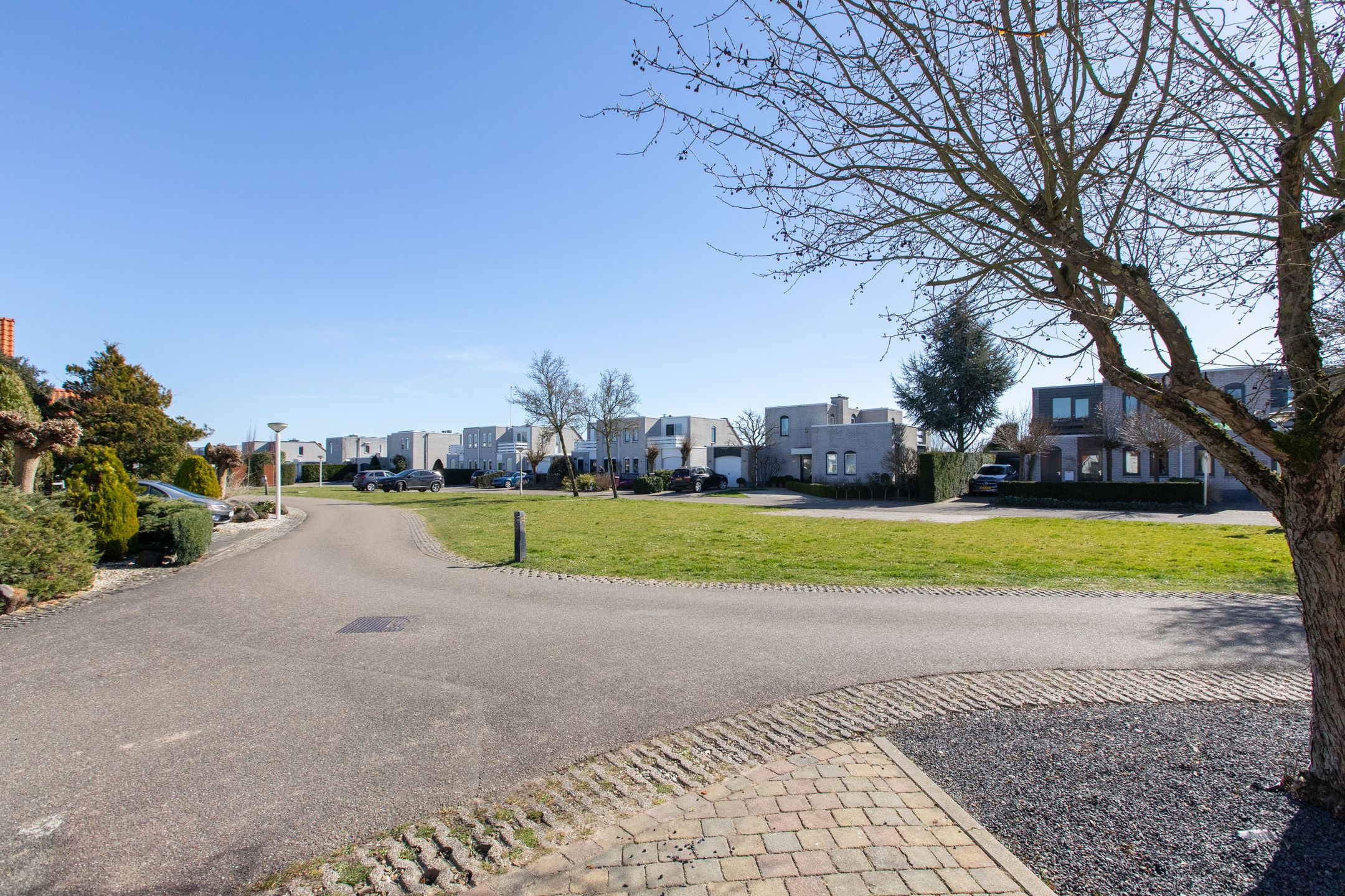 Foto 45 van Blauwe Reiger 17