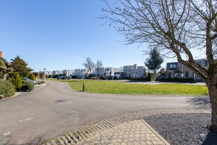 Foto 45 van Blauwe Reiger 17