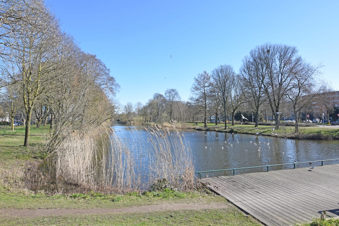 Foto 28 van Patmosdreef 66