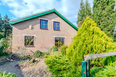 undefined main image