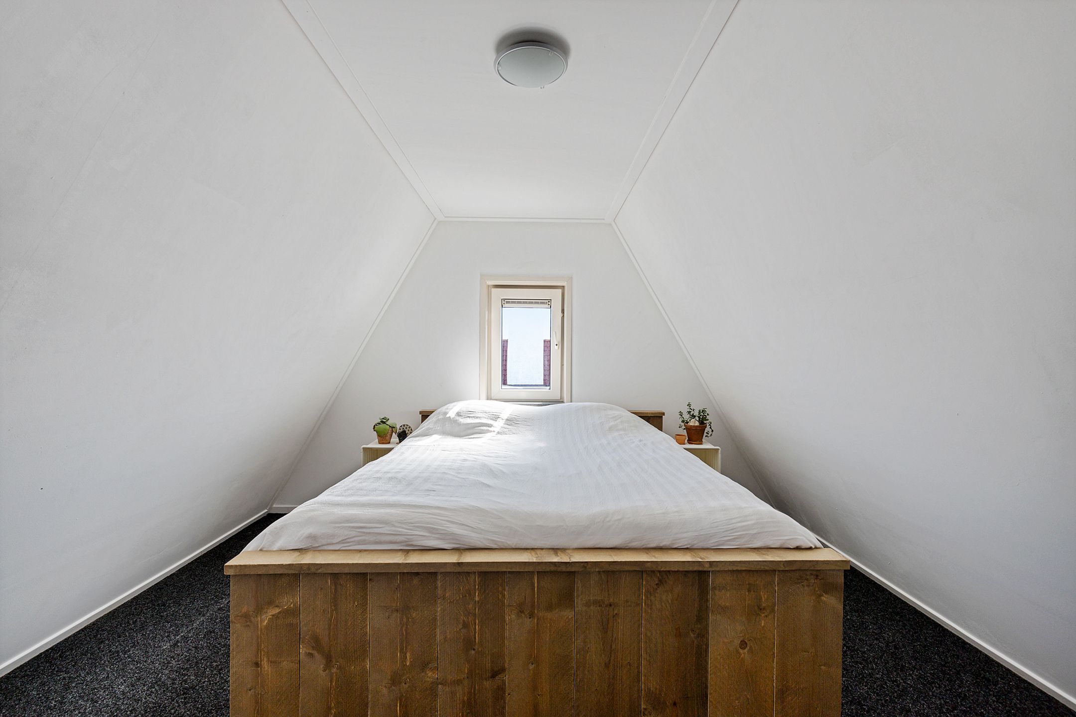 Foto 39 van Cambuursterpad 9