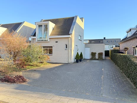 undefined main image