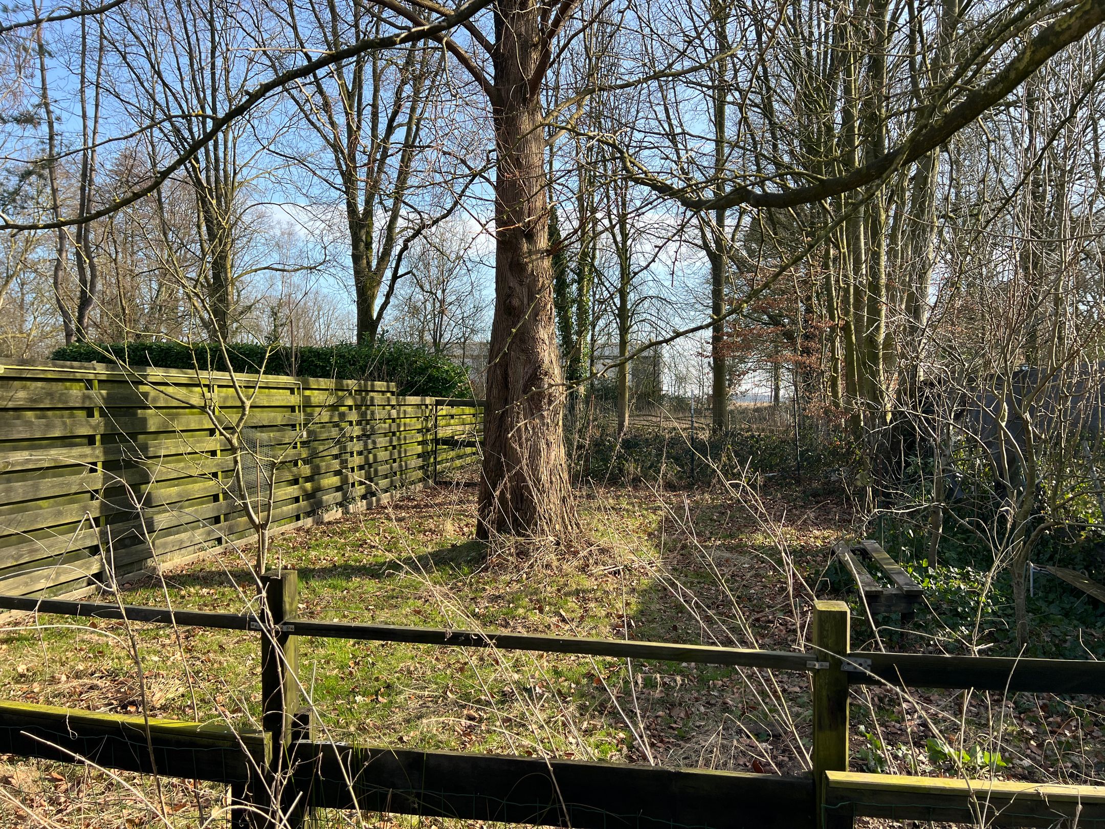 Foto 21 van Hoofdweg 94