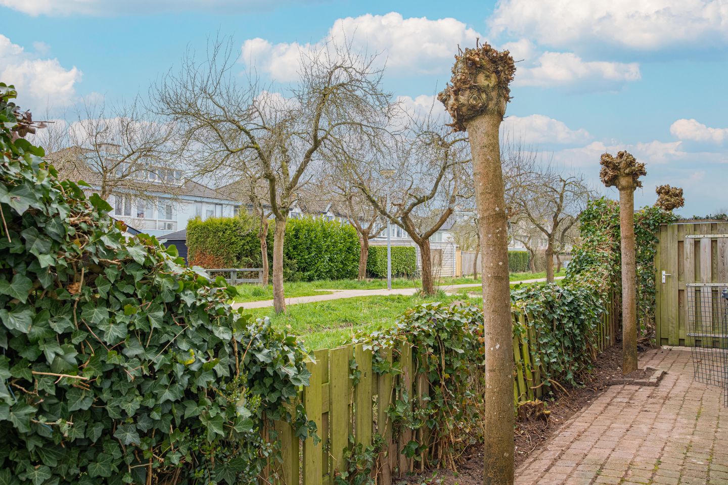 Foto 44 van Siedersstraat 5