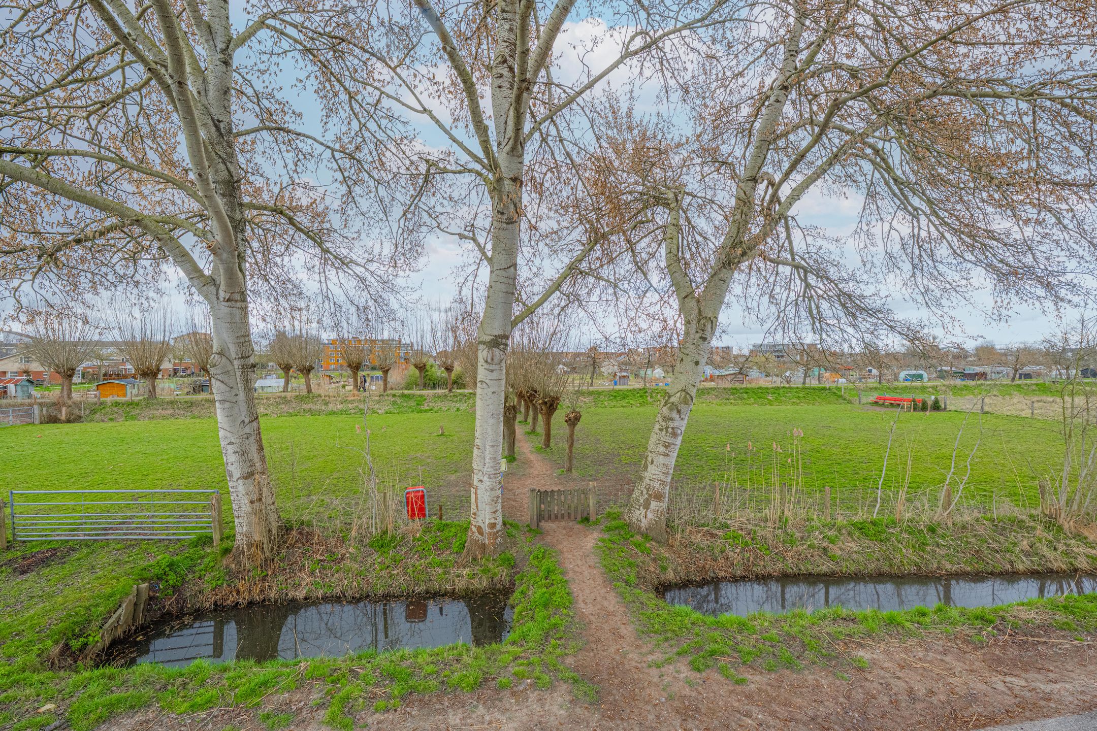 Foto 60 van Siedersstraat 5