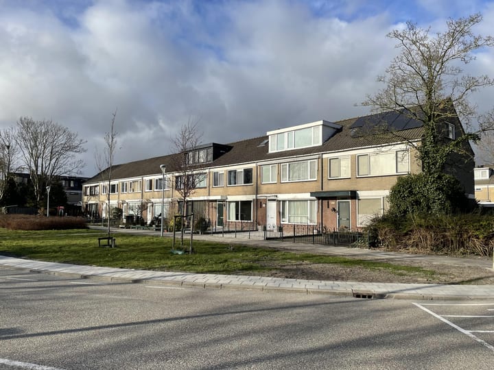 Foto 1 van Graan voor Visch 14806