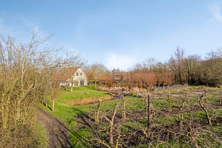 Foto 5 van Plantlustweg 5