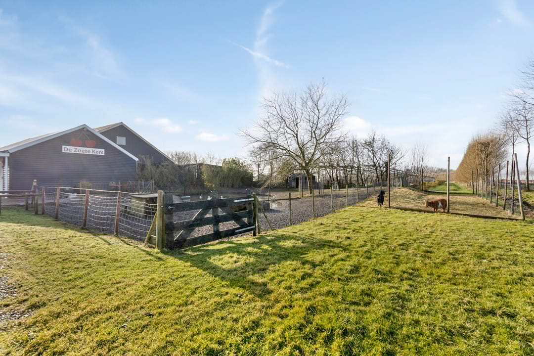 Foto 43 van Plantlustweg 5