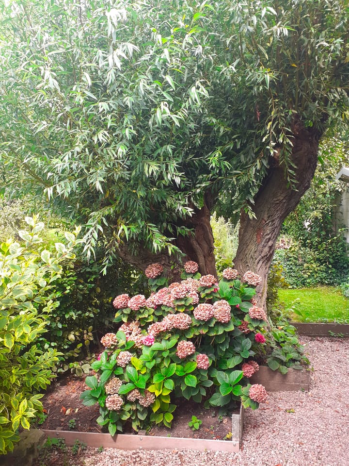 Foto 34 van Stougjesdijk 39