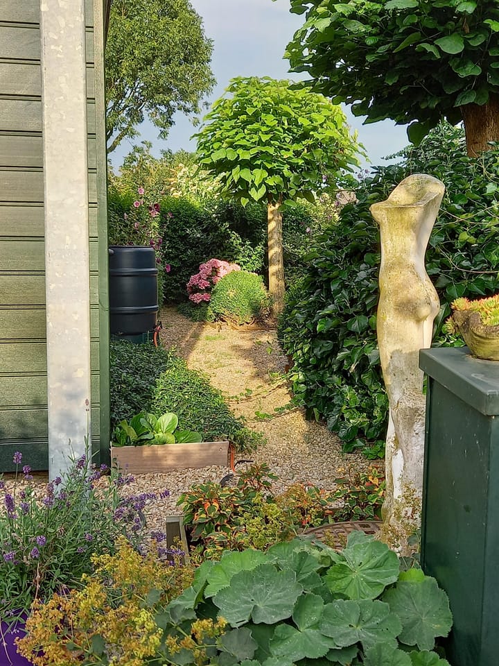 Foto 36 van Stougjesdijk 39