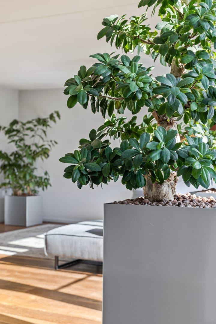 Photo 17 of Heiveld 17