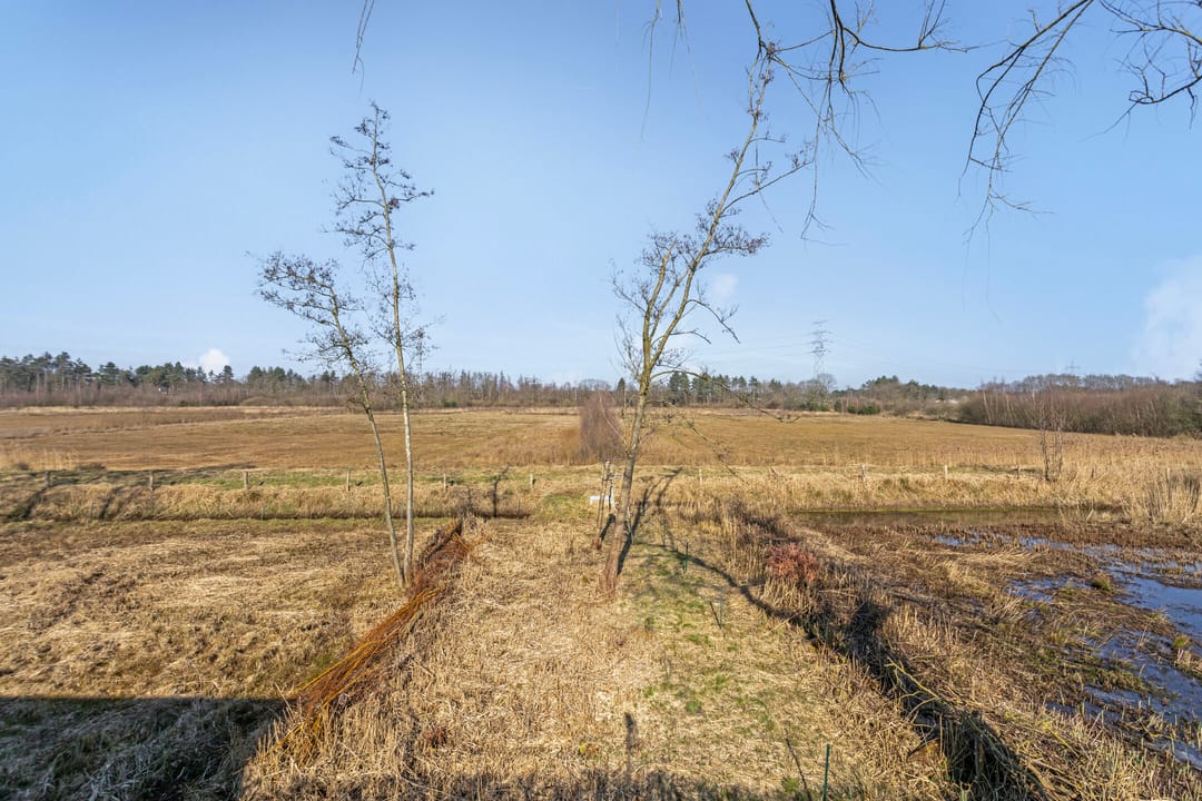 Foto 53 van Heiveld 17