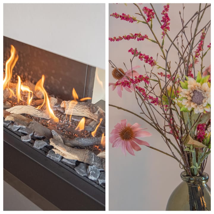 Foto 17 van Watersnip 52