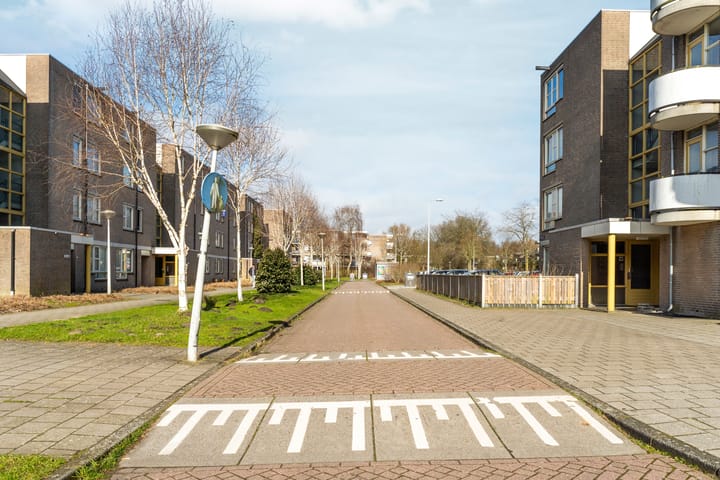 Foto 6 van Wamelplein 54