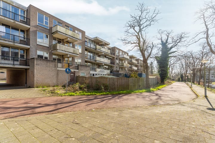 Foto 26 van Wamelplein 54