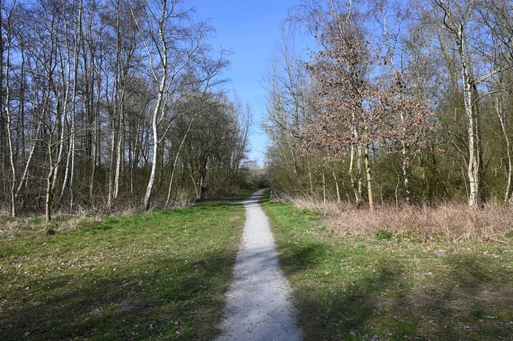 Foto 28 van Wamelplein 54