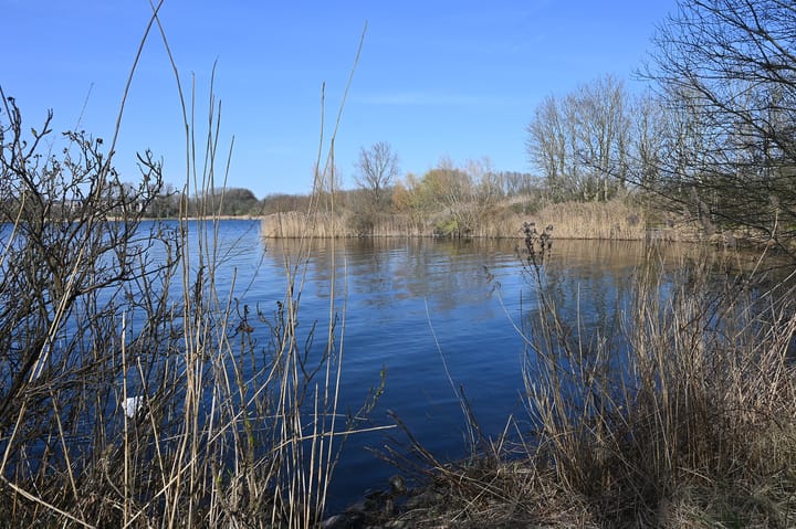 Foto 29 van Wamelplein 54