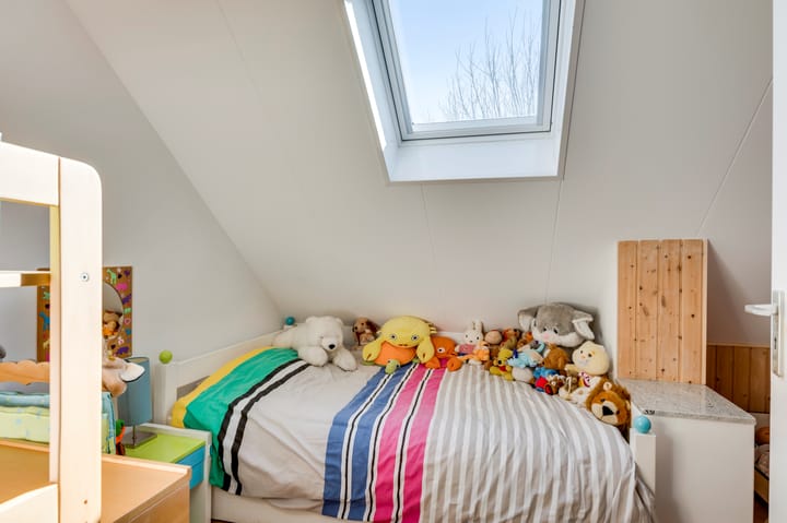 Photo 32 of Alexanderstraat 5