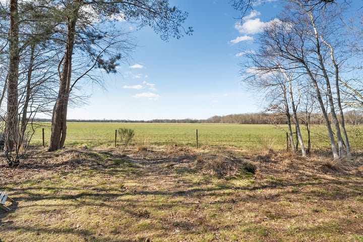 Foto 37 van Anholt 11-43