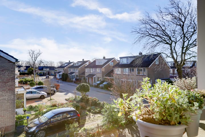 Foto 23 van Rietzangerstraat 21