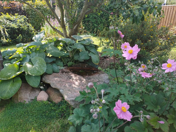 Photo 31 of Zijlroede 6