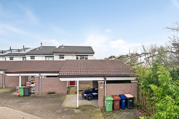 Foto 31 van Gemini 67