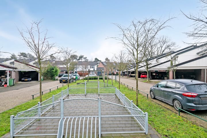 Foto 33 van Gemini 67