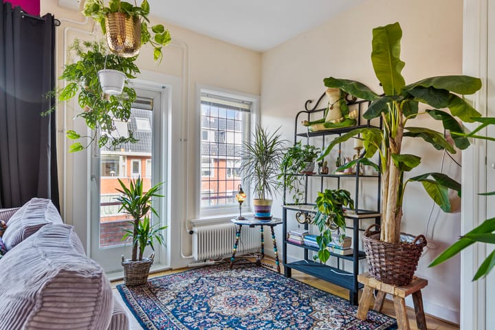 Foto 19 van Van Starkenborghstraat 33