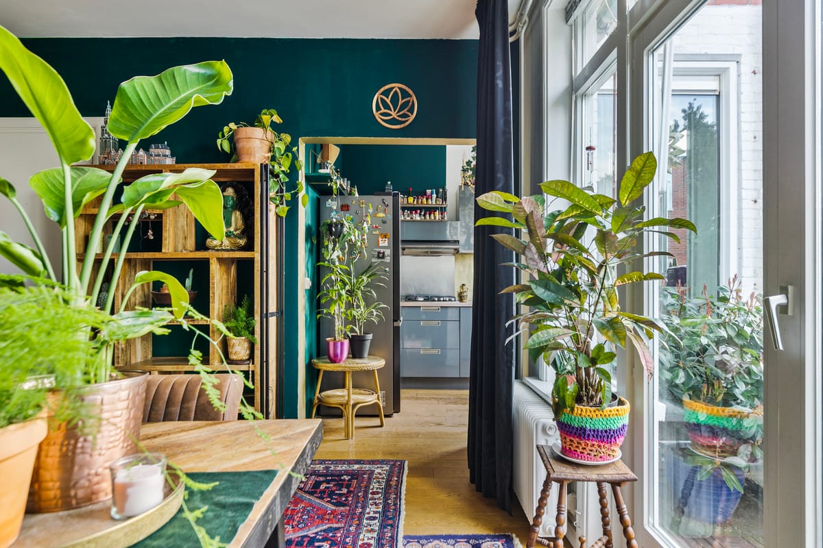 Foto 27 van Van Starkenborghstraat 33