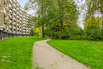 Jan Luykenlaan thumbnail