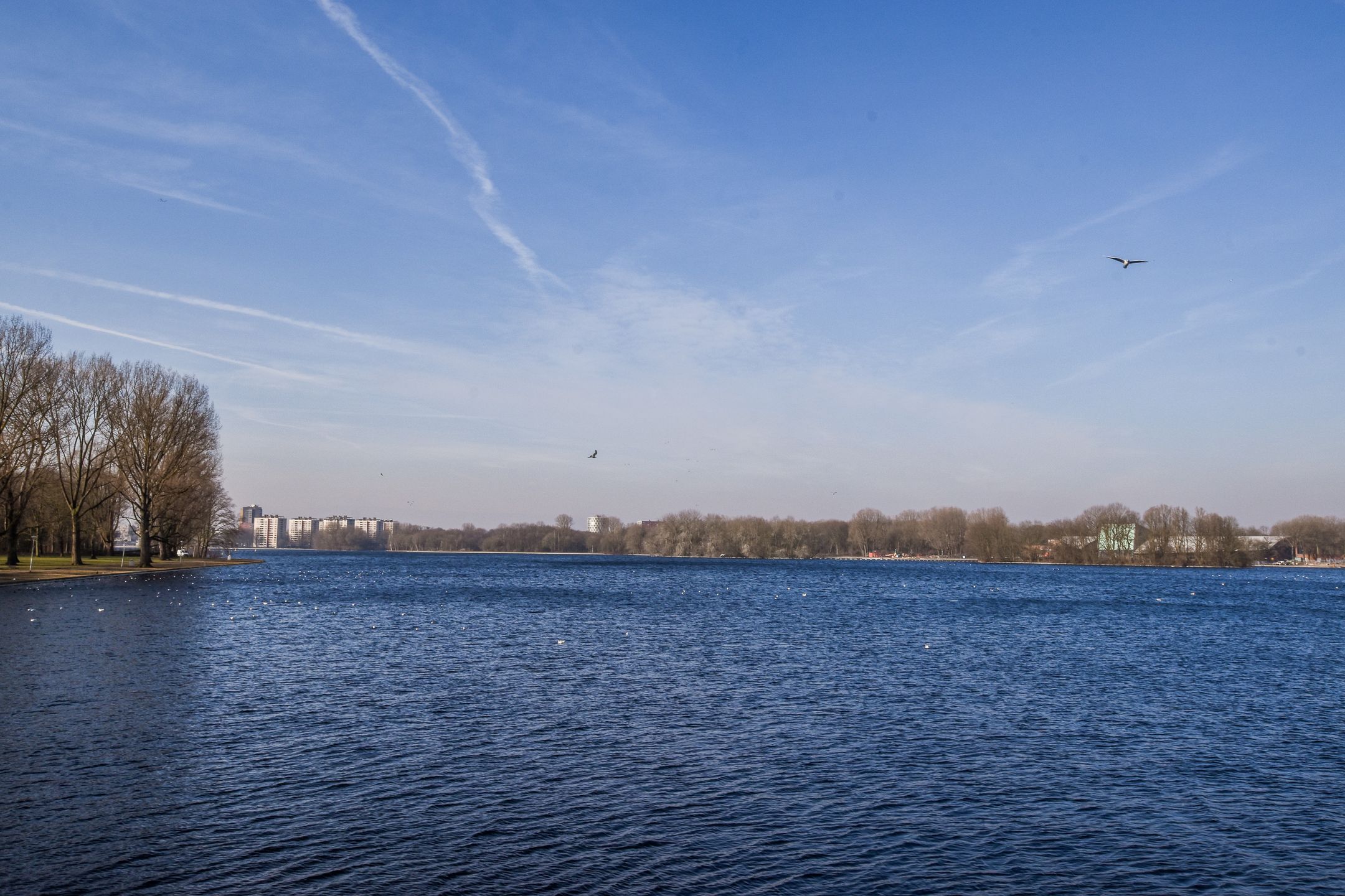 Foto 24 van Mezquitalaan 80