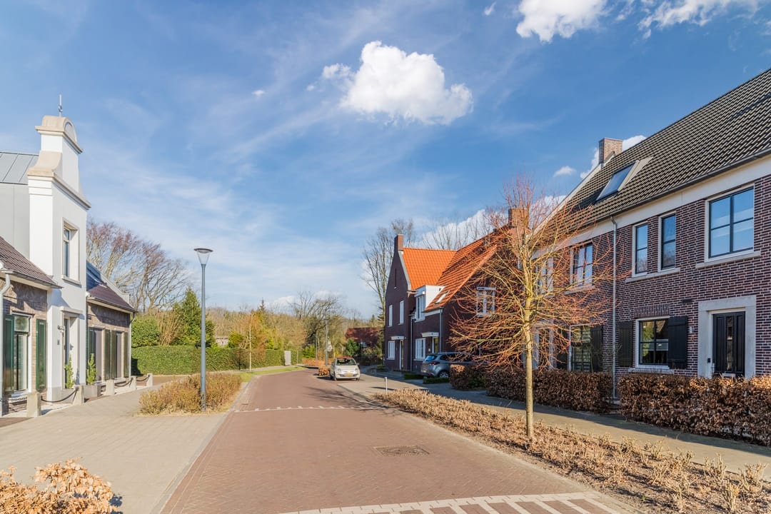 Photo 7 of Zwartbont 8