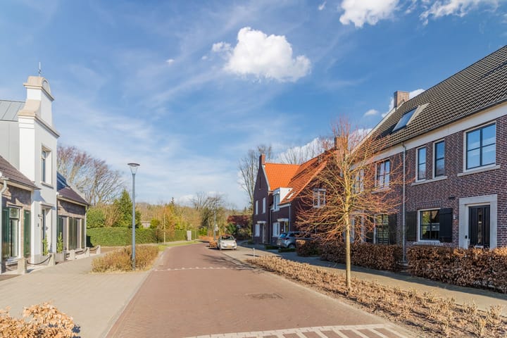 Photo 7 of Zwartbont 8