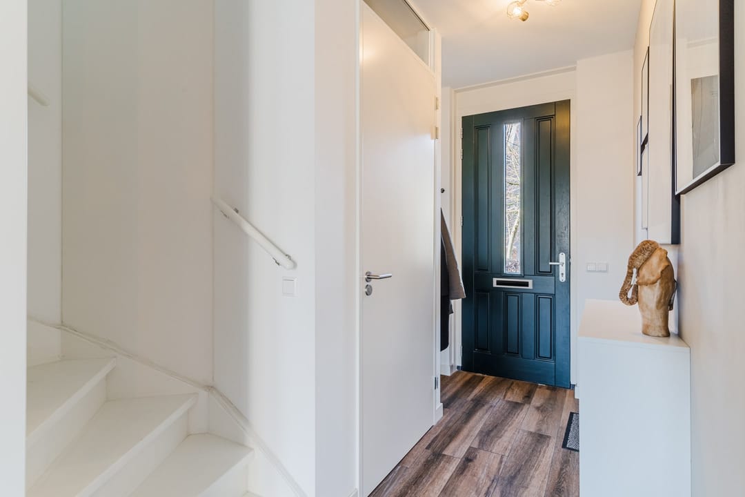 Photo 8 of Zwartbont 8