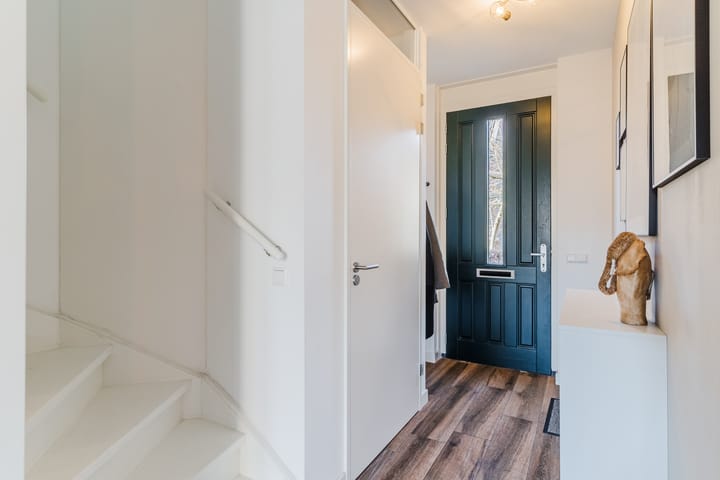 Photo 8 of Zwartbont 8