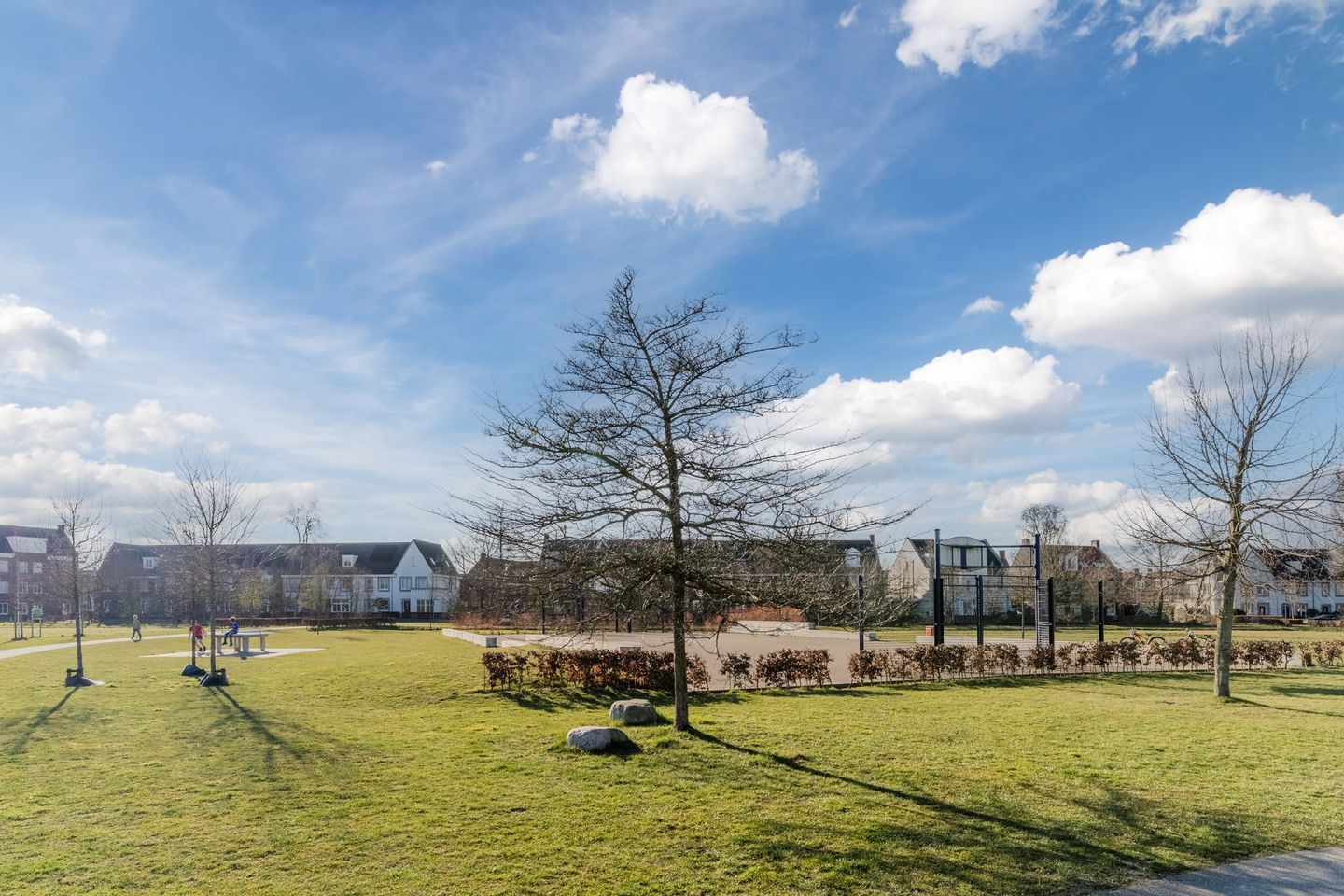 Photo 35 of Zwartbont 8