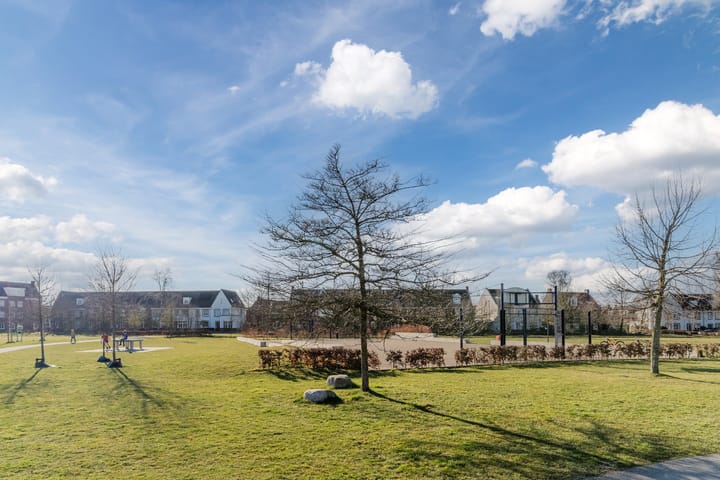 Photo 35 of Zwartbont 8