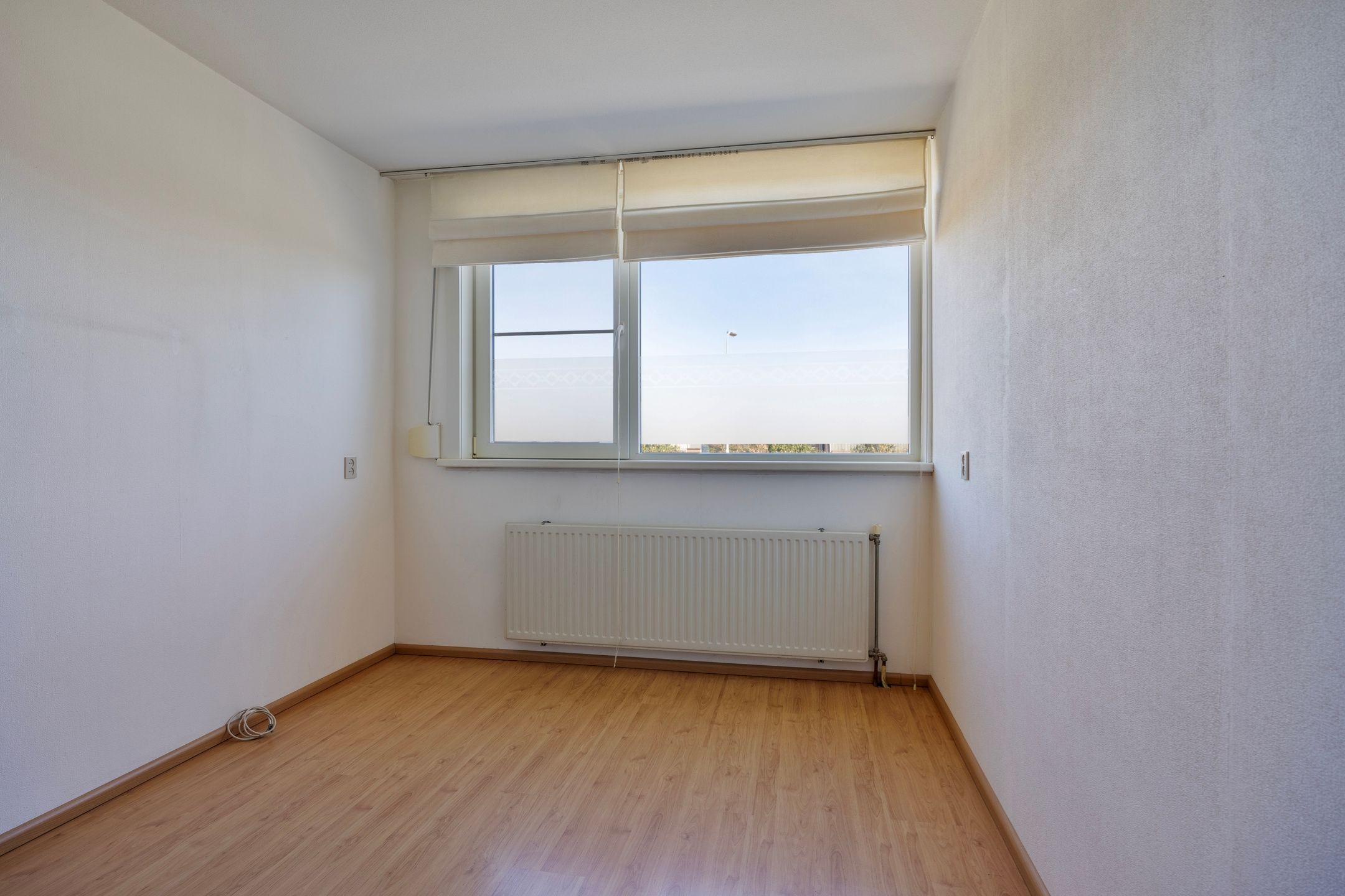 Foto 18 van Iepenberg 75