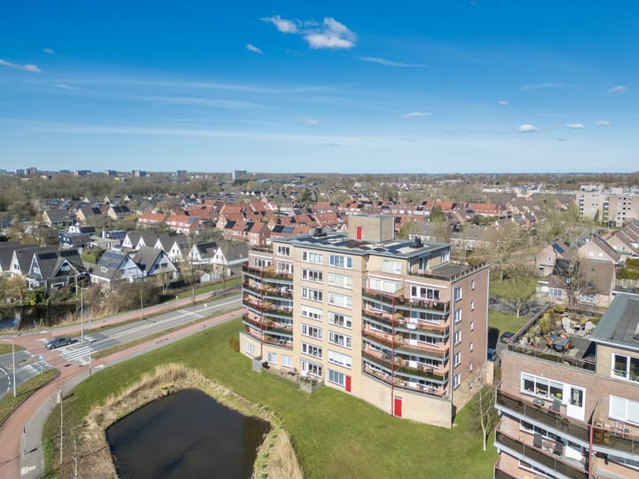 Foto 1 van Smeetsmastins 40