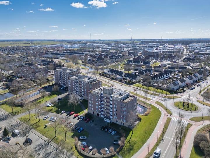 Foto 3 van Smeetsmastins 40